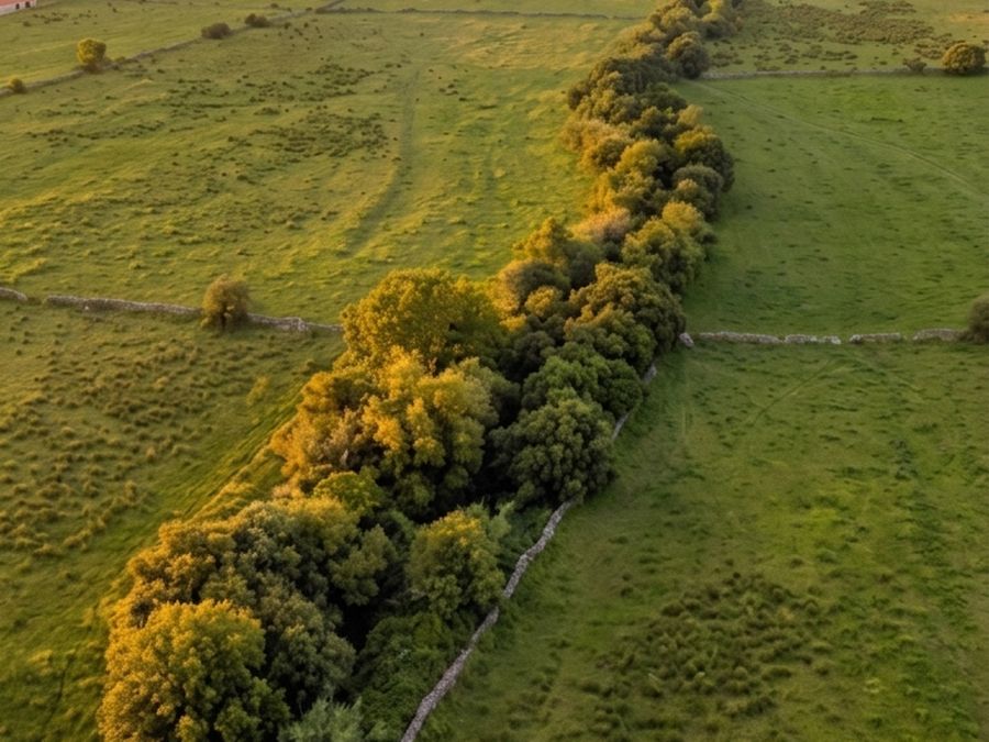 Vista aérea de um terreno rústico com uma faixa de vegetação a atravessá-lo